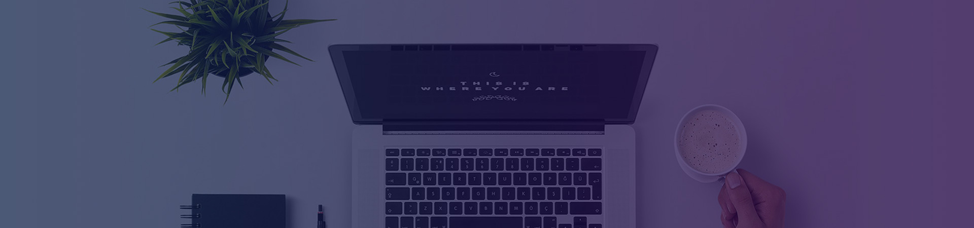 恩尼斯-網(wǎng)站定制-服務(wù),網(wǎng)站,定制網(wǎng)站,網(wǎng)站定制,網(wǎng)站建設(shè),網(wǎng)站開發(fā),網(wǎng)站搭建,做網(wǎng)站,公司網(wǎng)站,最好的網(wǎng)站,網(wǎng)頁(yè)開發(fā),網(wǎng)站設(shè)計(jì),網(wǎng)站公司,網(wǎng)站制作公司,公眾號(hào),html5,小程序,企業(yè)網(wǎng)站,移動(dòng)電商,網(wǎng)站制作,網(wǎng)絡(luò)服務(wù)